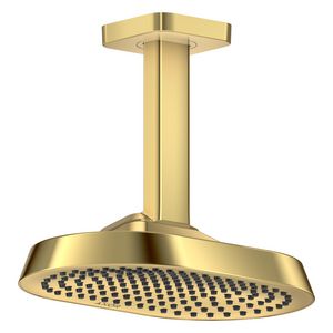 Hoofddouche AXOR ShowerSphere 250/160 1 straalsoort EcoSmart Polished Gold-Optic