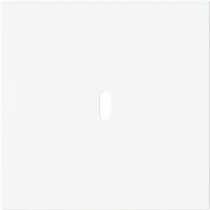 Afdekking voor USB-C voeding 65W. art-matwit (6479-44M)