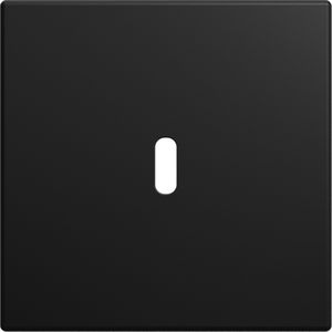 Afdekking voor USB-C voeding 65W. SI-B-matzwart (6479-915)