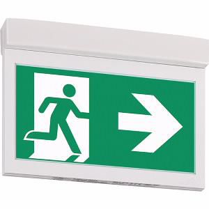 Noodverlichting plaf. opbouw centraal CG-S vluchtroute aanduiding 20m