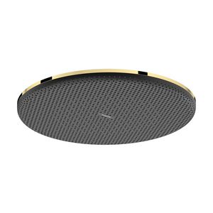 Hoofddouche Raindance Alive S 300mm 1 straalsoort Polished Gold-Optic