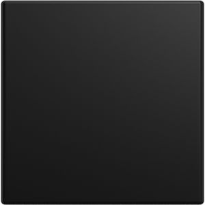 Bedieningswip enkel balance SI matzwart voor Friends of Hue smart switch insert 6716 U-500 (6735 BT-915)