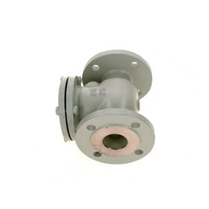 Verbindingsstuk DN50 PN16 everp
