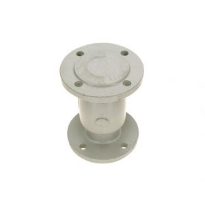 Verbindingsstuk DN65 PN16 everp
