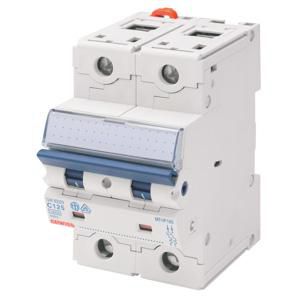 INSTALLATIEAUTOMAAT 2P C-KAR 100A 16KA 3-MODULE MTHP160