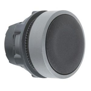 black flush pushbutton head colour plated grey