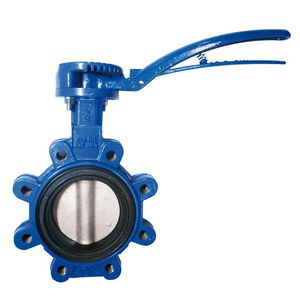 Vlinderklep Sylax Lug DN100 GGG40-EPDM-RVS316 PN10/16 Gy