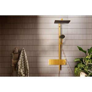 Showerpipe 210/340 2 straalsoorten EcoSmart Raindance Alive Q Polished Gold-Optic