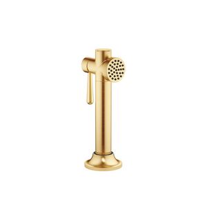 VAIA Spoeldch-garn. Mess. gebor (23kt Goud) 27718809-28