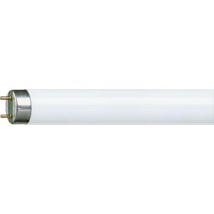 TL-buis MASTER TL-D HF Super 80 16W/840 SLV/25 VVE=25