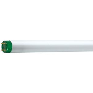 TL-buis MASTER TL-D Eco 51W/865 SLV/25 VVE=25