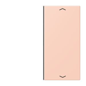 Vervangingswip F40 2-voudig pijl LC32112 KNX
