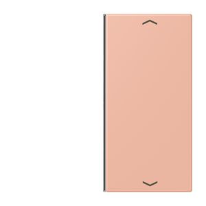 Vervangingswip F40 2-voudig pijl LC32102 KNX