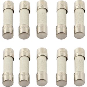 Set a 10st. Zekering L250V doos 10x CAS ECO-fan 1100/2500