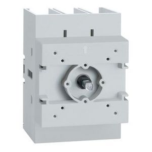 Body switch disconnector 3 poles 125 A on door TeSys VLS