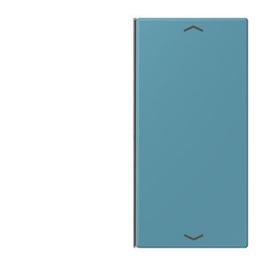 Vervangingswip F40 2-voudig pijl LC32031 KNX