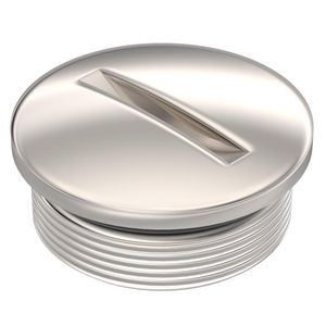 Schroefplug+O ring diam.21x9 Messing vernikkeld VVE=100