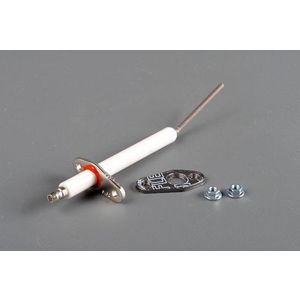 Electrode inonisatie