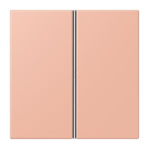 Tastafdekking F40 2-voudig compleet LC32102 KNX