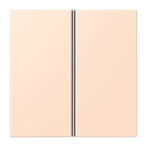 Tastafdekking F40 2-voudig compleet LC32091 KNX