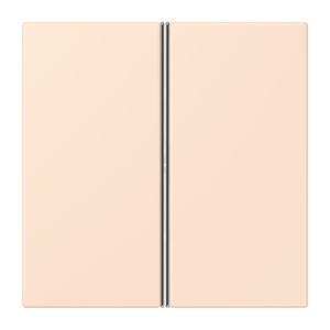 Tastafdekking F40 2-voudig compleet LC32082 KNX