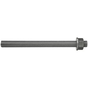 Ankerstang FIS A M12x120mm rvs R VVE=10