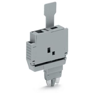 Zekeringsteker lip G-smeltpatronen 5x20mm+5x25mm gri VVE=50