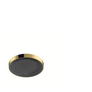 Hoofddouche Rainfinity 250 1 straalsoort 9L plafond polished gold optic