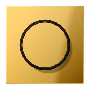 Afdekking draaiknop metaal goldkleuren PVD coating LS