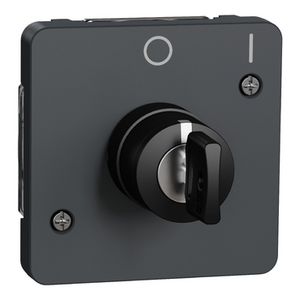 Inzetstuk Sleutelschakelaar 2 standen IP55 Grijs Mureva Styl