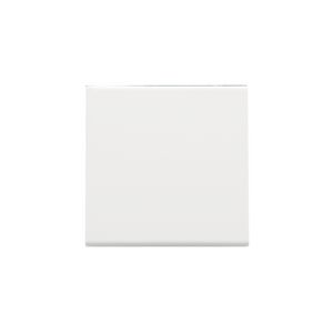 Afwerkingsset enkelv. elektr. schakelaar/knop white c.