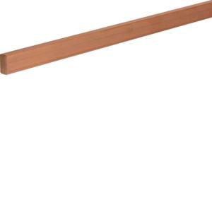 Railkoper 20x10mm b=1000mm