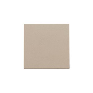 Spuitwaterdichte blindplaat champagne coated