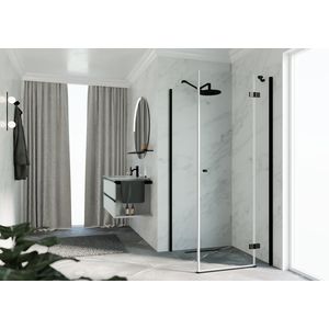 Draaideur NH -A/G tbv zijwand 100 links verst.970-990x2000mm helder glas profielkleur zwart