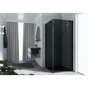 Draaideur NH -A/G tbv zijwand 100 links verst.970-990x2000mm glas grijs profielkleur zwart