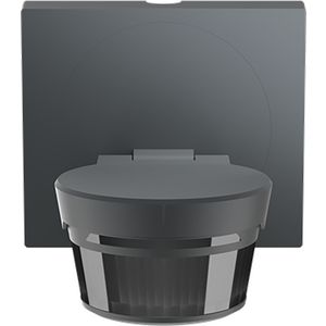 Design Busch-Wachter PRO afneembaar frame antraciet