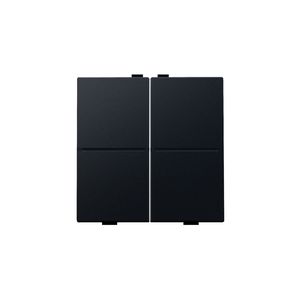 2-voudige toets RF schakelaar/drukknop black