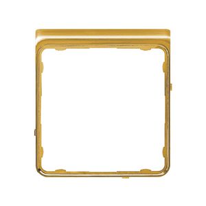 Applicatie-segment CD-plus goud glanzend