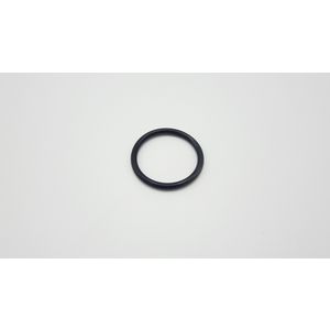 O-ring voor dompelbuis 1.1/2" S102153