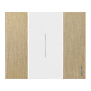 Afdekplaat 2 modulen goud K4702 LivingNow