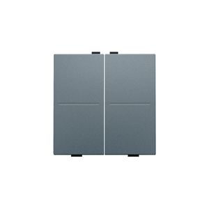 2-voudige toets RF schakelaar/drukknop blue grey