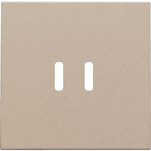 Afwerkingsset dubbele smart USB-C-lader champagne coated