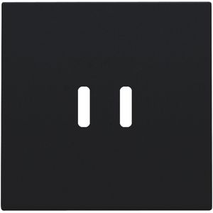 Afwerkingsset dubbele smart USB-C-lader black coated
