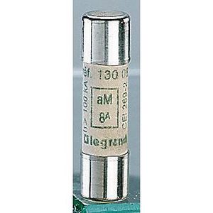Zekering Industrieel 10A 10x38mm HRC aM VVE=10
