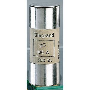 Zekering Industrieel 100A 22x58mm HRC gG VVE=10