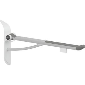 Toiletsteun met montagep. 850mm incl. spaneel PLUS antraciet