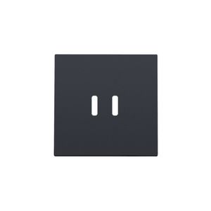 Afwerkingsset dubbele smart USB-C-lader anthracite coated
