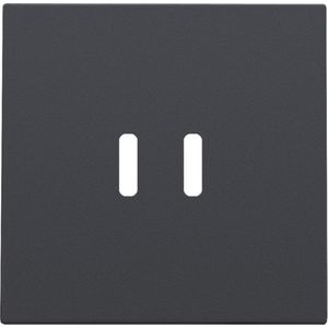 Afwerkingsset dubbele smart USB-C-lader anthracite coated