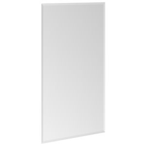 Finion spiegel 600x1000x20mm