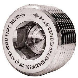 Plug ronde ATEX EXD mess. 1 1/4NPT metaalkeur VVE=50